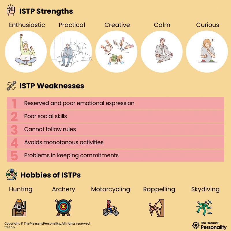 All About Istp Personality An Analytical Genius Thepleasantpersonality