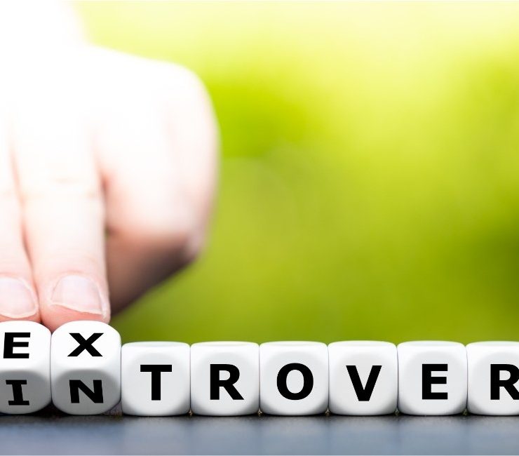 Introversion vs Extroversion – The Functional Analysis